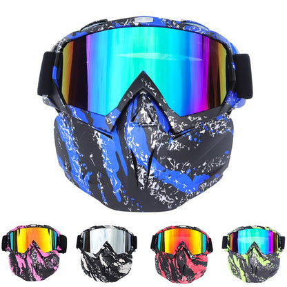 Ski and Motocross Goggles